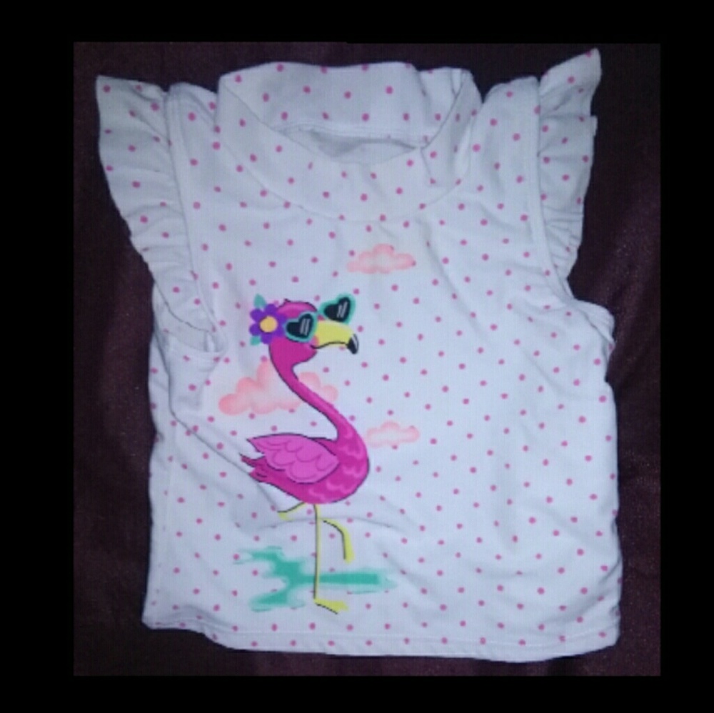 💠3@$15!💠 Little Girls Flamingo Top by Jumpin Beans